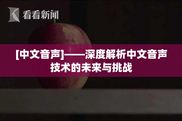 [中文音声]——深度解析中文音声技术的未来与挑战