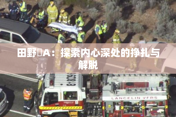 田野憂A：探索内心深处的挣扎与解脱