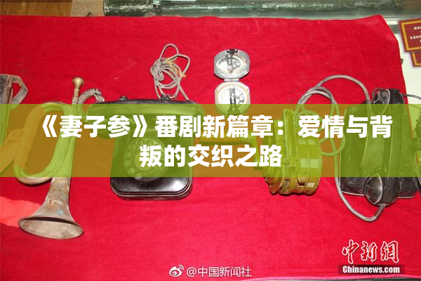 《妻子参》番剧新篇章：爱情与背叛的交织之路