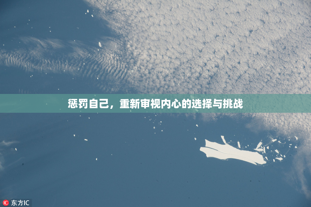 惩罚自己，重新审视内心的选择与挑战