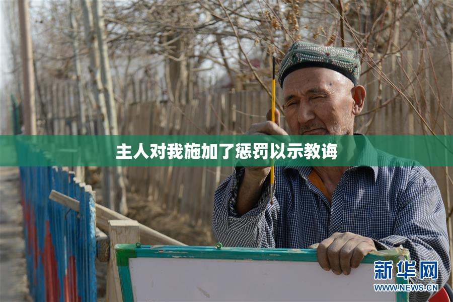 主人对我施加了惩罚以示教诲