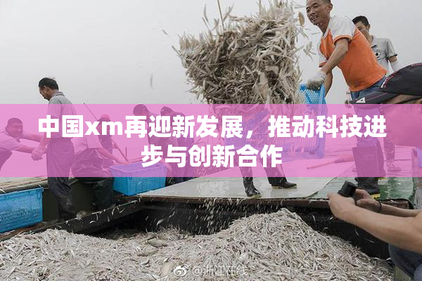 中国xm再迎新发展，推动科技进步与创新合作