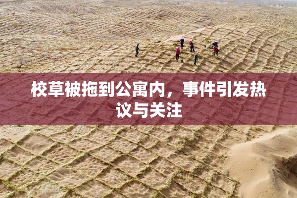 校草被拖到公寓内，事件引发热议与关注