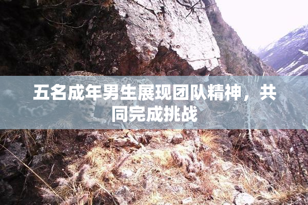 五名成年男生展现团队精神，共同完成挑战