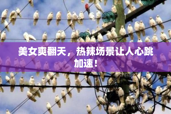 美女爽翻天，热辣场景让人心跳加速！