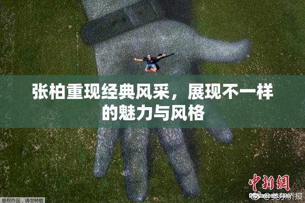 张柏重现经典风采，展现不一样的魅力与风格