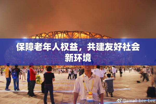 保障老年人权益，共建友好社会新环境