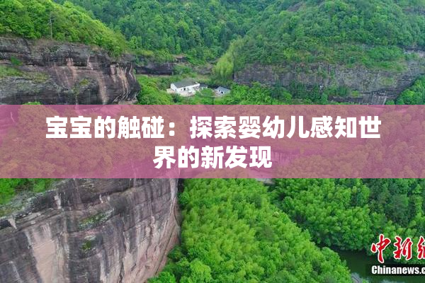 宝宝的触碰：探索婴幼儿感知世界的新发现