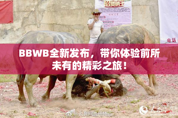 BBWB全新发布，带你体验前所未有的精彩之旅！