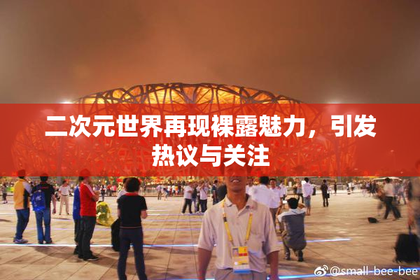 二次元世界再现裸露魅力，引发热议与关注