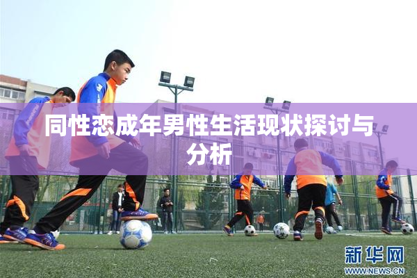 同性恋成年男性生活现状探讨与分析
