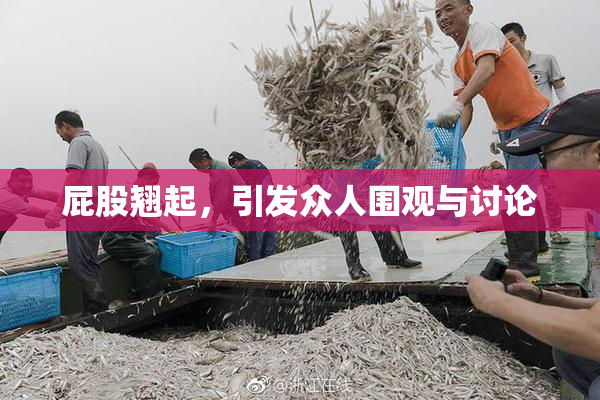 屁股翘起，引发众人围观与讨论