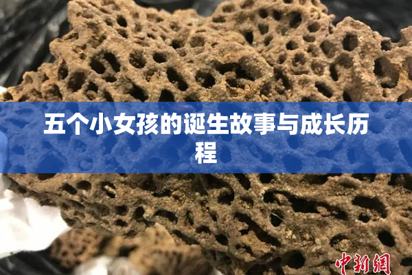 五个小女孩的诞生故事与成长历程