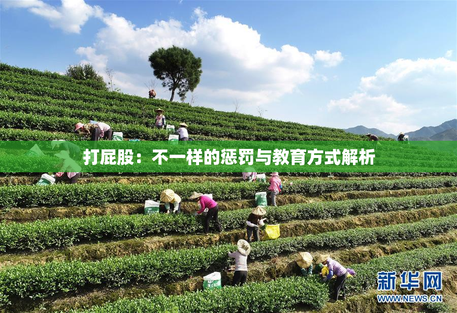 打屁股：不一样的惩罚与教育方式解析