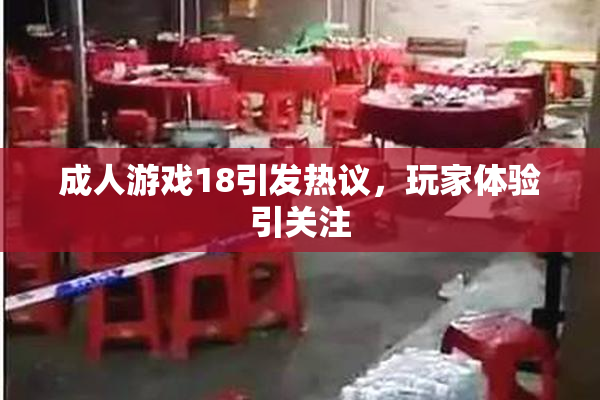 成人游戏18引发热议，玩家体验引关注
