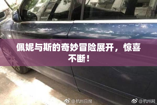 佩妮与斯的奇妙冒险展开，惊喜不断！