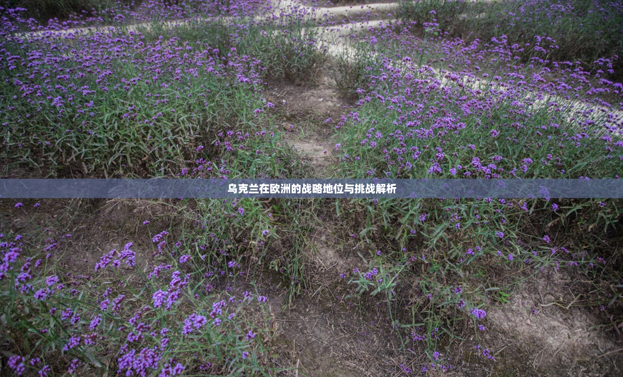 乌克兰在欧洲的战略地位与挑战解析