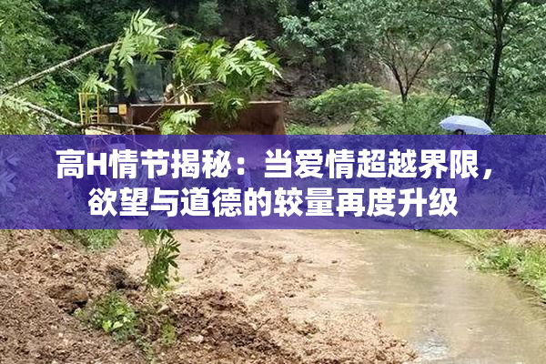 高H情节揭秘：当爱情超越界限，欲望与道德的较量再度升级