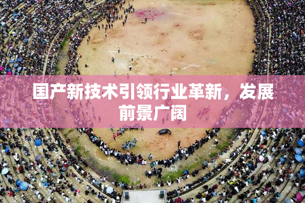 国产新技术引领行业革新，发展前景广阔