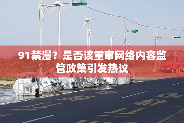 91禁漫？是否该重审网络内容监管政策引发热议