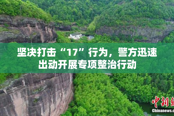 坚决打击“17”行为，警方迅速出动开展专项整治行动