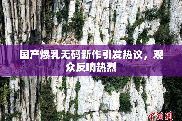 国产爆乳无码新作引发热议，观众反响热烈