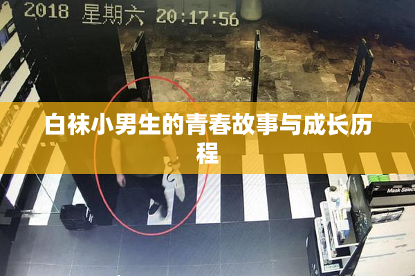 白袜小男生的青春故事与成长历程