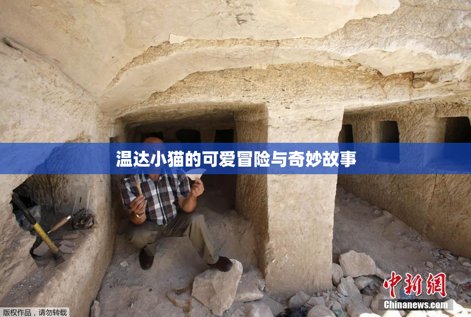 温达小猫的可爱冒险与奇妙故事