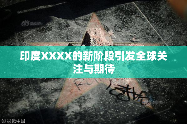 印度XXXX的新阶段引发全球关注与期待
