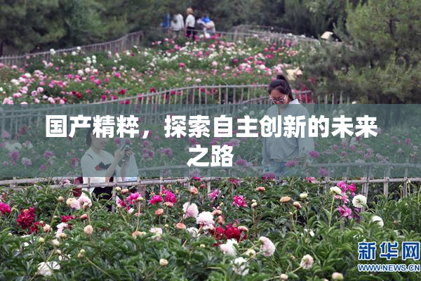 国产精粹，探索自主创新的未来之路