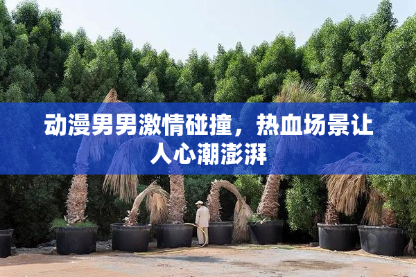 动漫男男激情碰撞，热血场景让人心潮澎湃