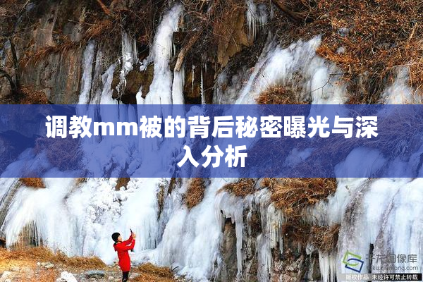 调教mm被的背后秘密曝光与深入分析