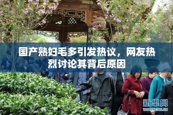国产熟妇毛多引发热议，网友热烈讨论其背后原因
