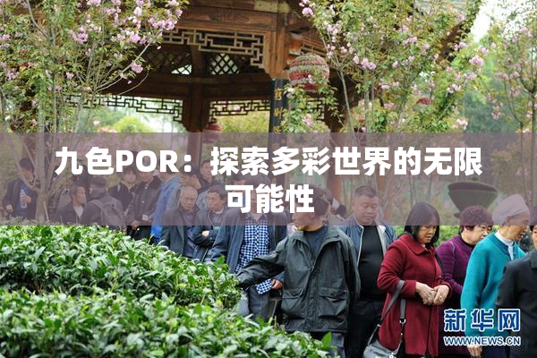 九色POR：探索多彩世界的无限可能性