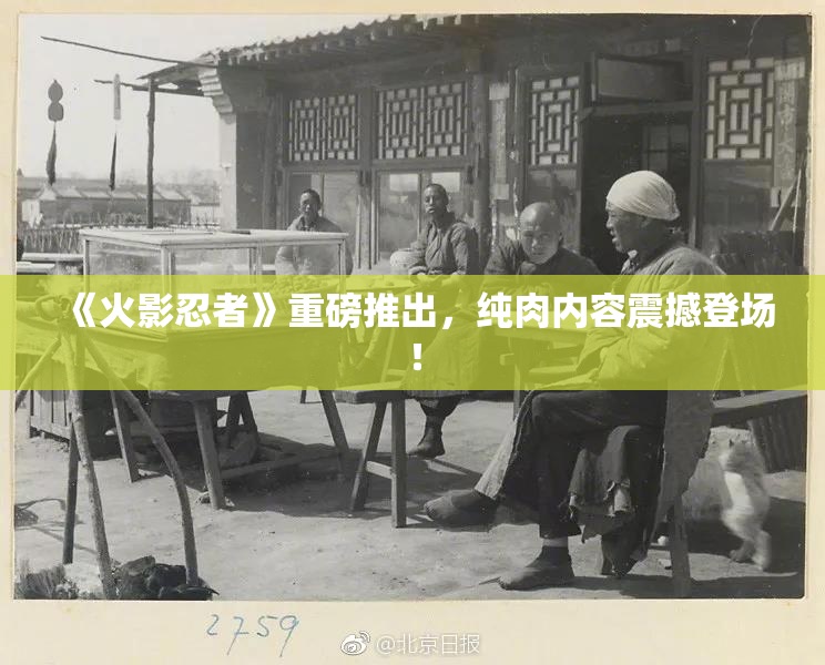 《火影忍者》重磅推出，纯肉内容震撼登场！