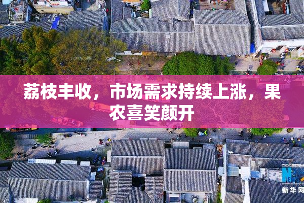 荔枝丰收，市场需求持续上涨，果农喜笑颜开
