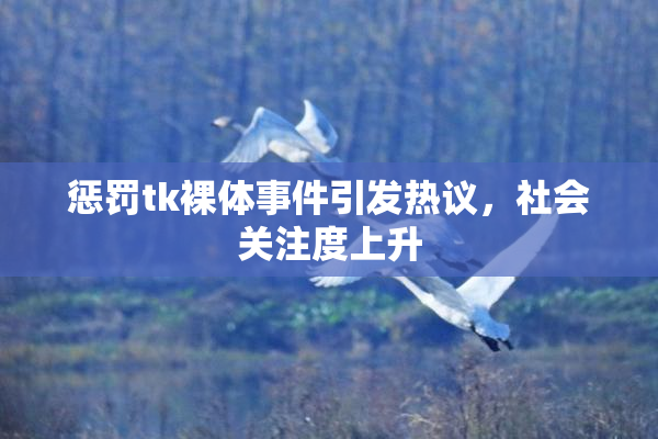 惩罚tk裸体事件引发热议，社会关注度上升