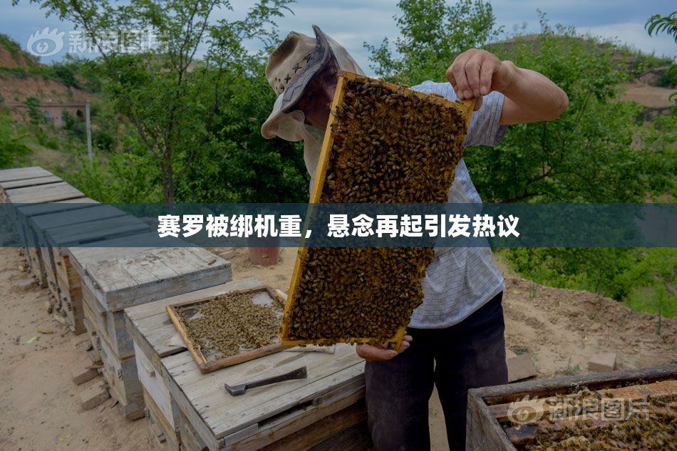 赛罗被绑机重，悬念再起引发热议