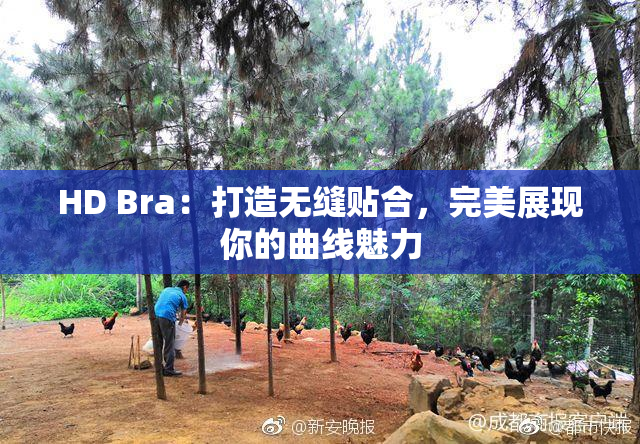 HD Bra：打造无缝贴合，完美展现你的曲线魅力