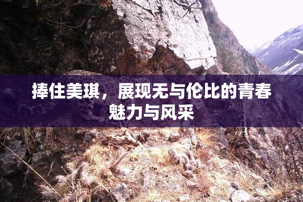 捧住美琪，展现无与伦比的青春魅力与风采