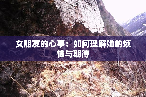 女朋友的心事：如何理解她的烦恼与期待
