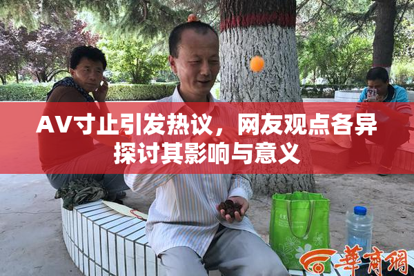AV寸止引发热议，网友观点各异探讨其影响与意义