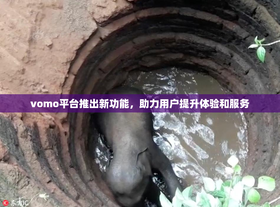vomo平台推出新功能，助力用户提升体验和服务