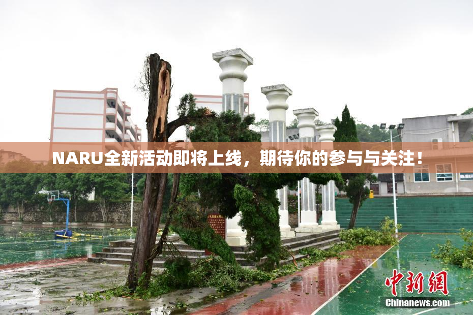 NARU全新活动即将上线，期待你的参与与关注！