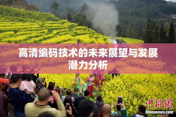 高清编码技术的未来展望与发展潜力分析
