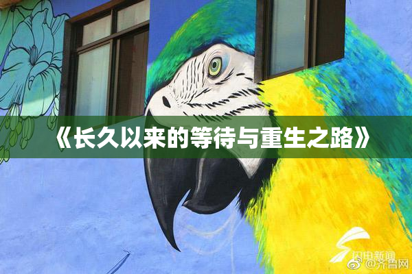 《长久以来的等待与重生之路》