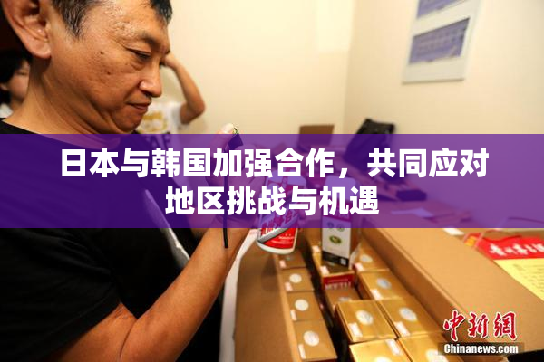 日本与韩国加强合作，共同应对地区挑战与机遇
