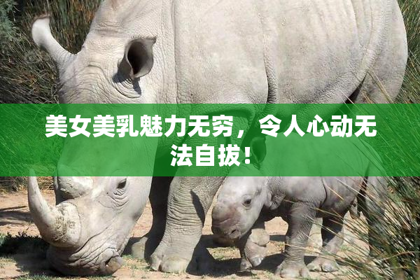 美女美乳魅力无穷，令人心动无法自拔！