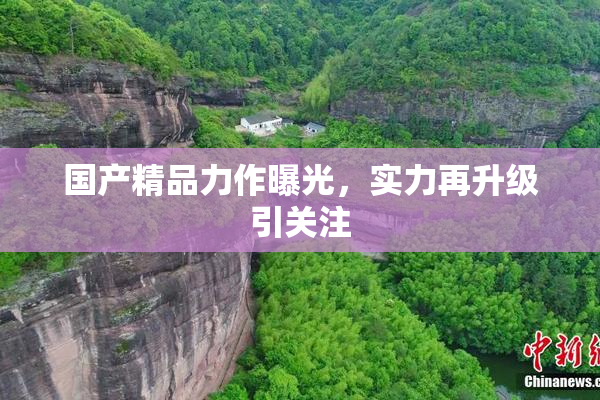 国产精品力作曝光，实力再升级引关注