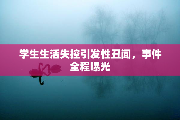 学生生活失控引发性丑闻，事件全程曝光